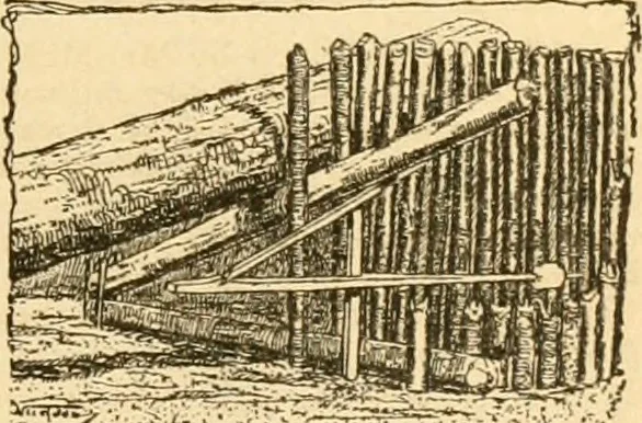 An illustration from Symbolic education : a commentary on Froebel's "Mother play,", 1894, leaf 286
