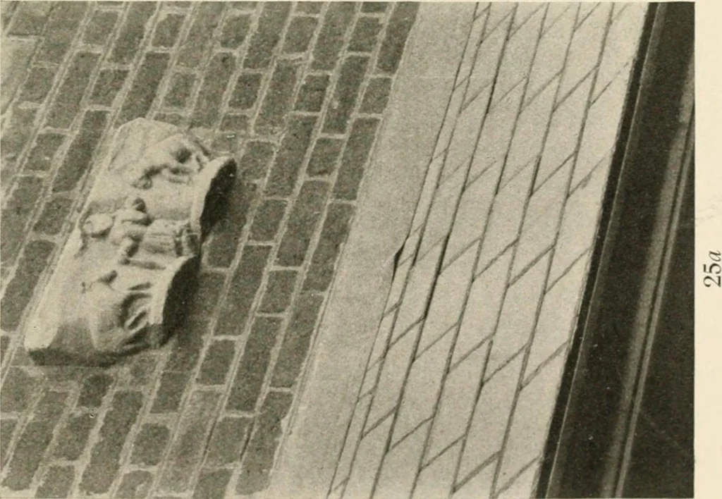 An illustration from Symbolism of animals and birds represented in English church architecture, 1913, leaf 110