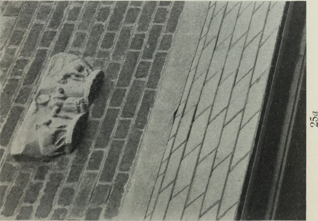 An illustration from Symbolism of animals and birds represented in English architecture, 1913, leaf 110