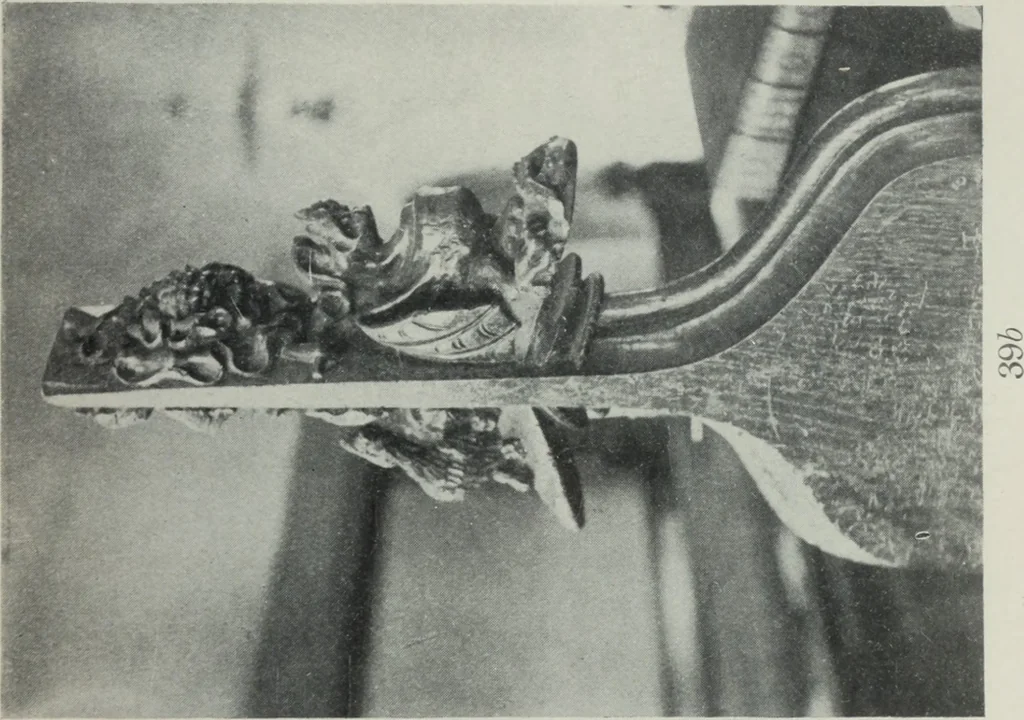 An illustration from Symbolism of animals and birds represented in English architecture, 1913, leaf 166