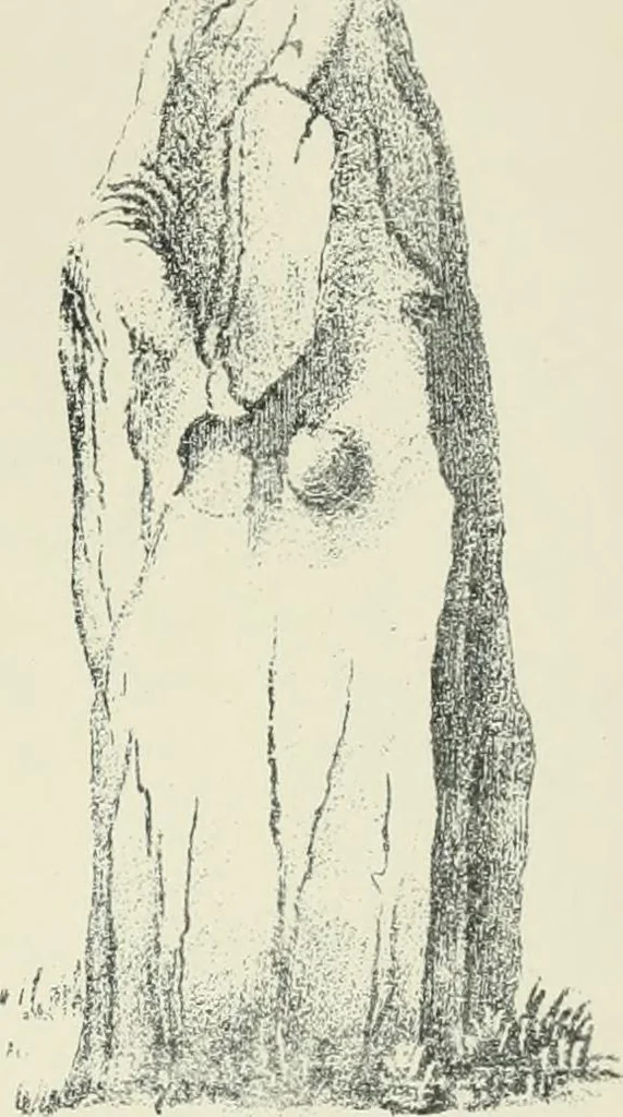 An illustration from Symbolism of the East and West, 1900, leaf 138