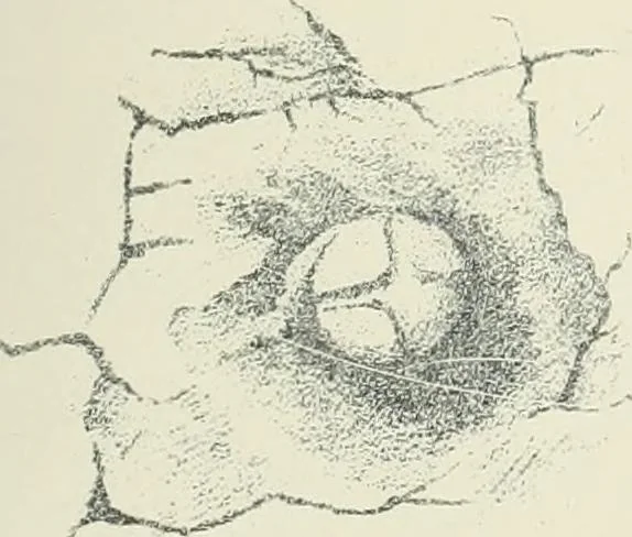An illustration from Symbolism of the East and West, 1900, leaf 138