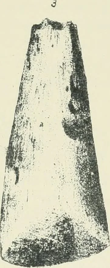 An illustration from Symbolism of the East and West, 1900, leaf 144
