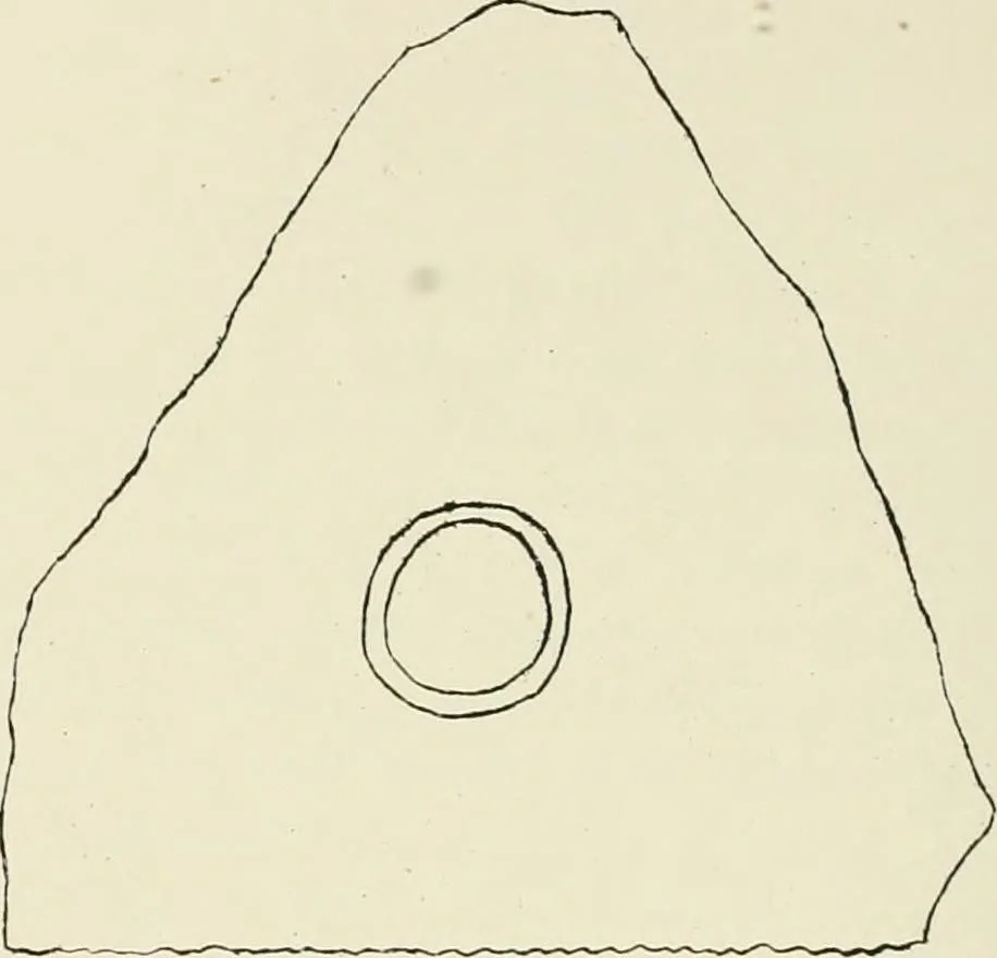 An illustration from Symbolism of the East and West, 1900, leaf 173