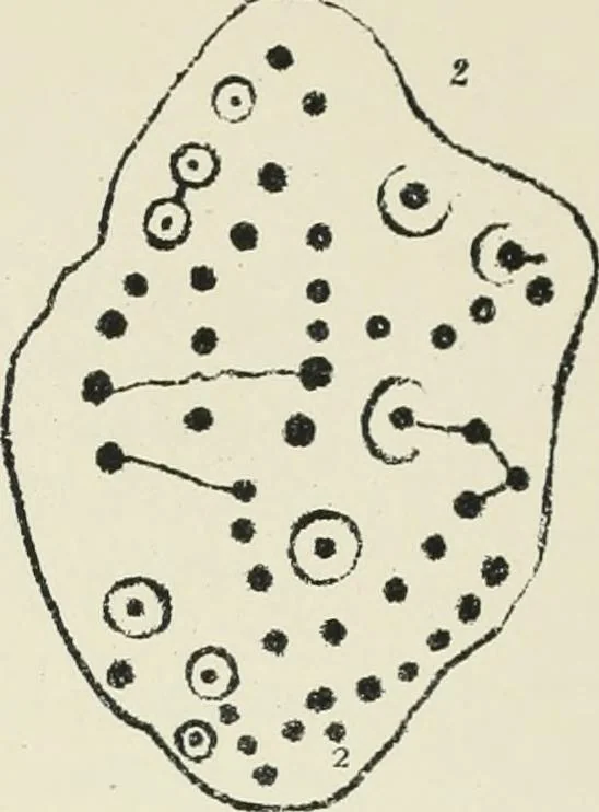 An illustration from Symbolism of the East and West, 1900, leaf 50