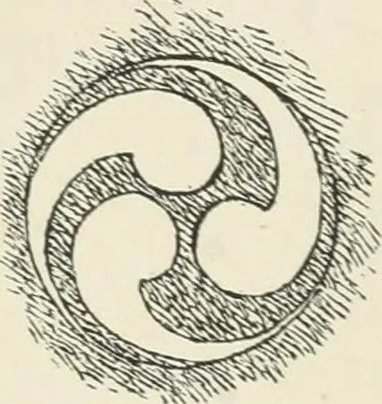 An illustration from Symbolism of the East and West, 1900, leaf 81