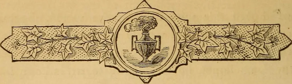 An illustration from The symbolism of freemasonry : illustrating and explaining its science and philosophy, its legends, myths, and symbols, 1869, leaf 113