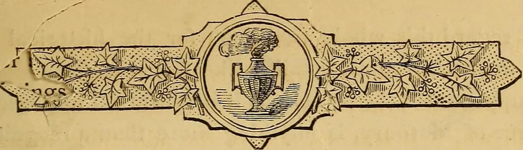 An illustration from The symbolism of freemasonry : illustrating and explaining its science and philosophy, its legends, myths, and symbols, 1869, leaf 222