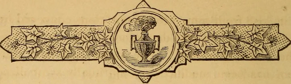 An illustration from The symbolism of freemasonry : illustrating and explaining its science and philosophy, its legends, myths, and symbols, 1869, leaf 33