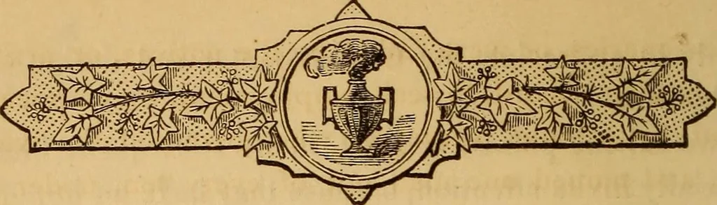 An illustration from The symbolism of freemasonry : illustrating and explaining its science and philosophy, its legends, myths, and symbols, 1869, leaf 69
