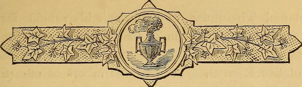 An illustration from The symbolism of freemasonry : illustrating and explaining its science and philosophy, its legends, myths, and symbols, 1869, leaf 92