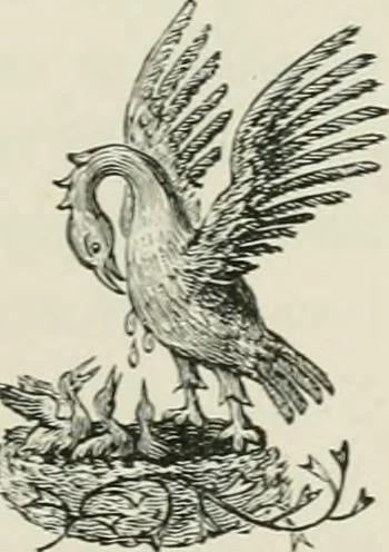 An illustration from The symbolisms of heraldry : or, A treatise on the meanings and derivations of armorial bearings, 1898, leaf 78