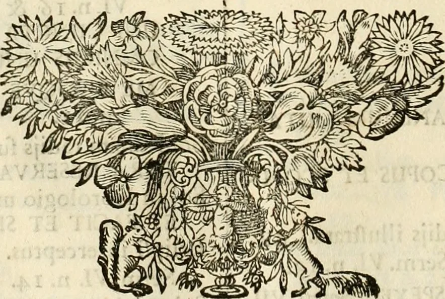 An illustration from Symbolographia, sive, De arte symbolica : sermones septem, 1702, leaf 105