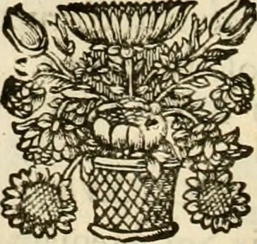 An illustration from Symbolographia, sive, De arte symbolica : sermones septem, 1702, leaf 139