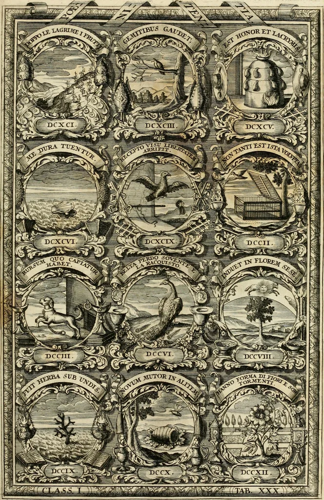 An illustration from Symbolographia, sive, De arte symbolica : sermones septem, 1702, leaf 234