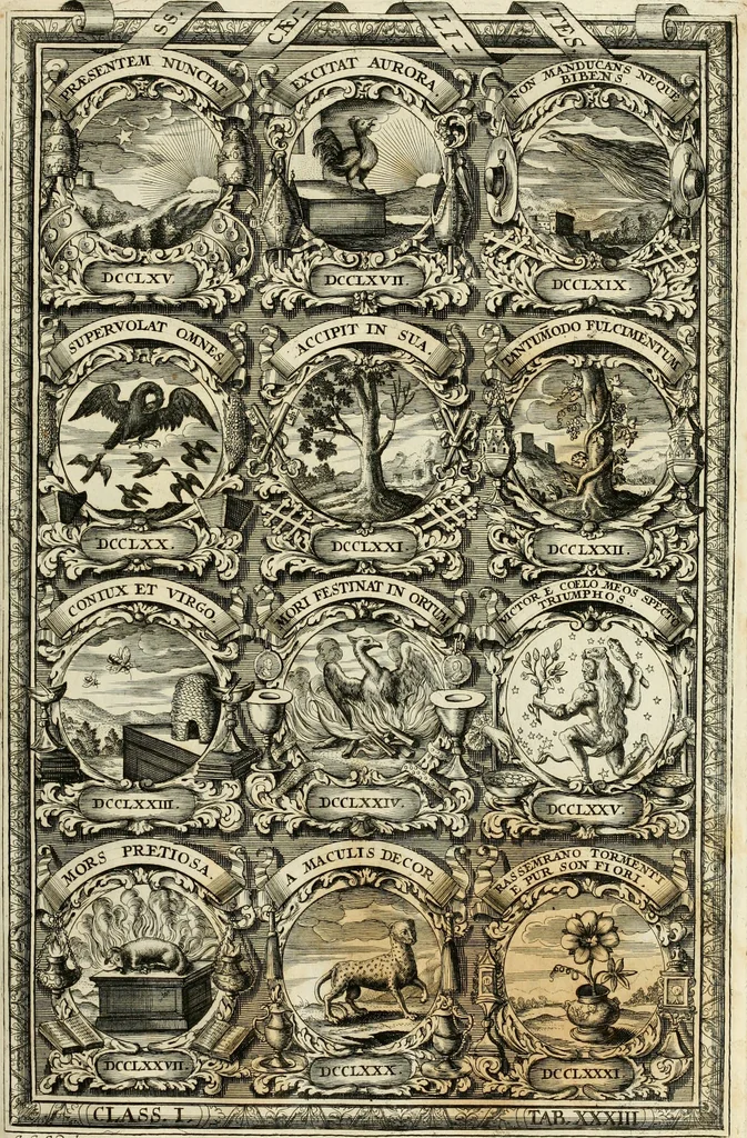 An illustration from Symbolographia, sive, De arte symbolica : sermones septem, 1702, leaf 240