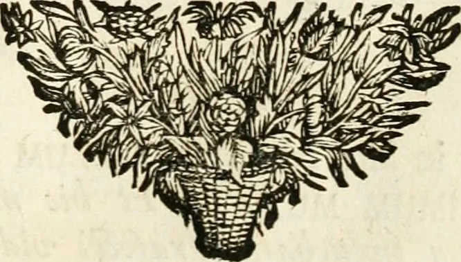An illustration from Symbolographia, sive, De arte symbolica : sermones septem, 1702, leaf 290
