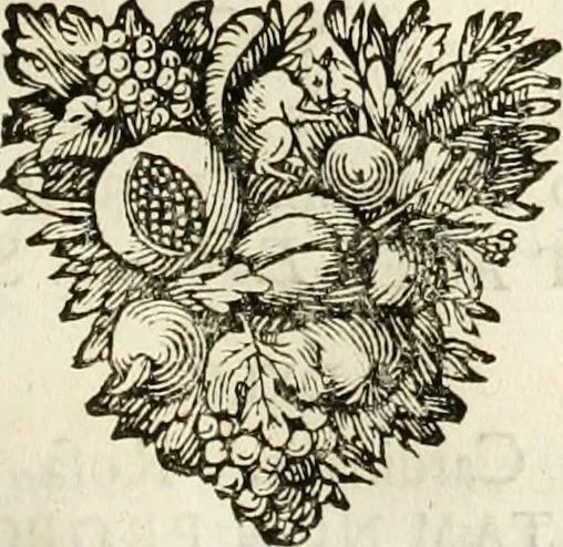 An illustration from Symbolographia, sive, De arte symbolica : sermones septem, 1702, leaf 294