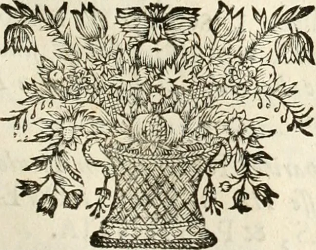 An illustration from Symbolographia, sive, De arte symbolica : sermones septem, 1702, leaf 302