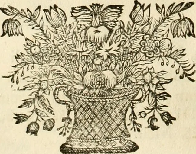 An illustration from Symbolographia, sive, De arte symbolica : sermones septem, 1702, leaf 315