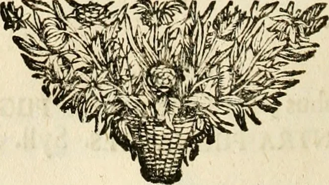 An illustration from Symbolographia, sive, De arte symbolica : sermones septem, 1702, leaf 323