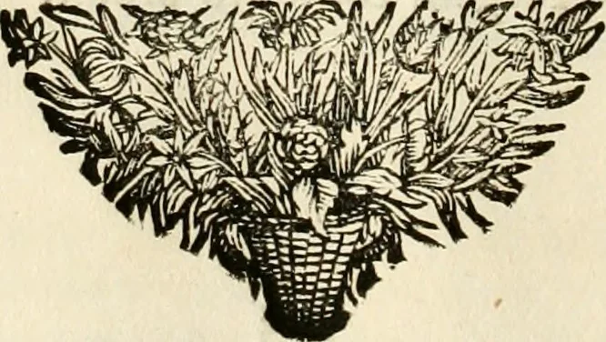An illustration from Symbolographia, sive, De arte symbolica : sermones septem, 1702, leaf 45