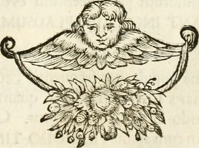 An illustration from Symbolographia, sive, De arte symbolica : sermones septem, 1702, leaf 482
