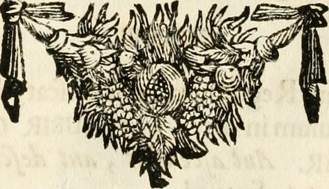 An illustration from Symbolographia, sive, De arte symbolica : sermones septem, 1702, leaf 486