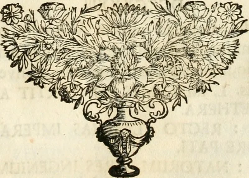 An illustration from Symbolographia, sive, De arte symbolica : sermones septem, 1702, leaf 516