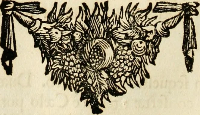 An illustration from Symbolographia, sive, De arte symbolica : sermones septem, 1702, leaf 519