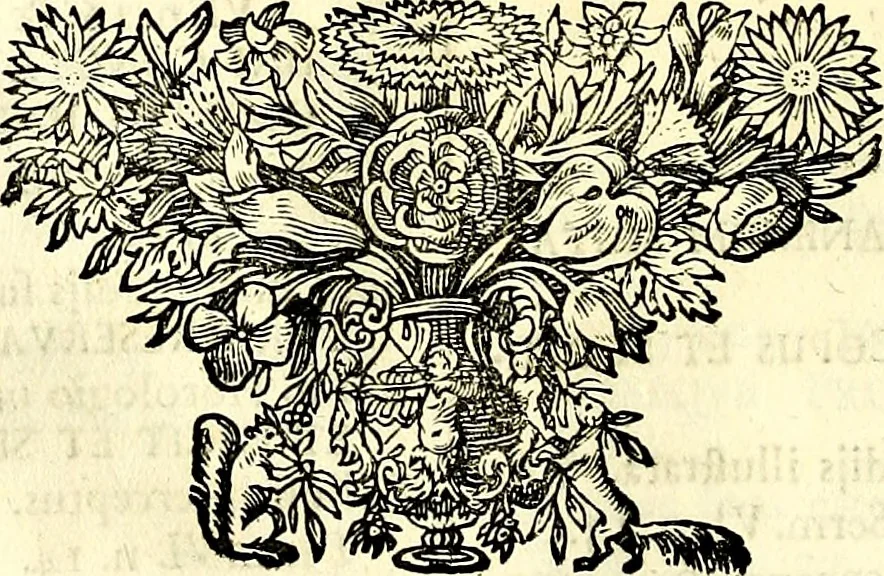 An illustration from Symbolographia, sive De arte symbolica sermones septem, 1702, leaf 111