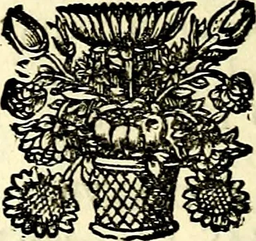 An illustration from Symbolographia, sive De arte symbolica sermones septem, 1702, leaf 145