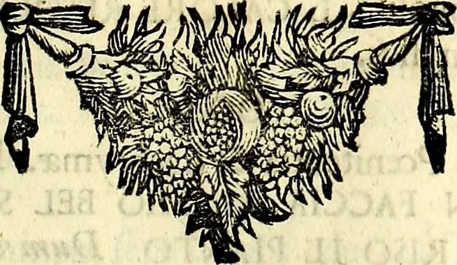 An illustration from Symbolographia, sive De arte symbolica sermones septem, 1702, leaf 158