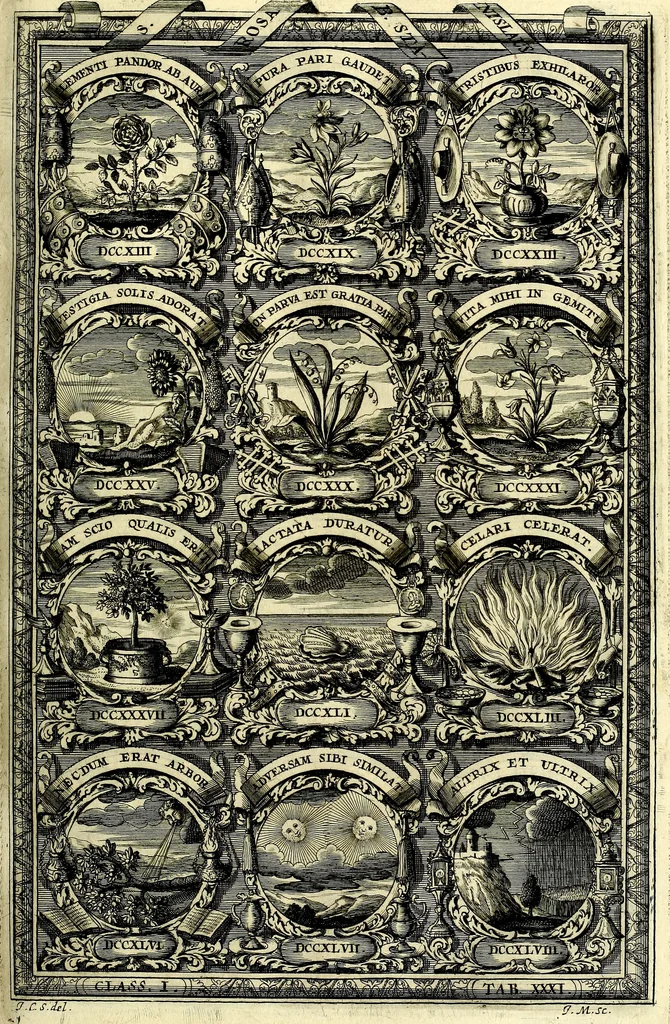 An illustration from Symbolographia, sive De arte symbolica sermones septem, 1702, leaf 242