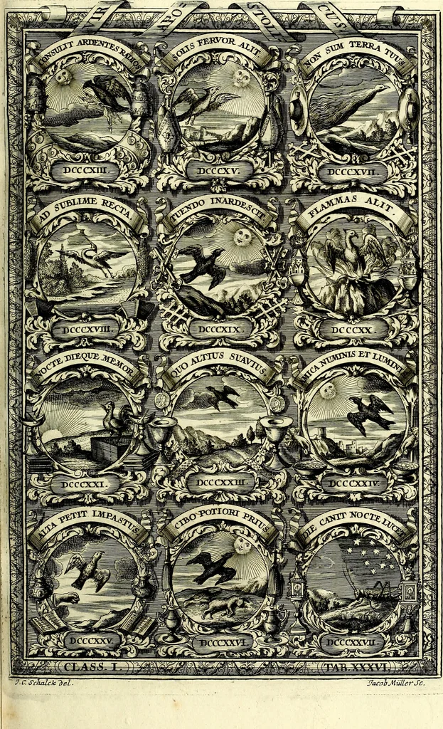 An illustration from Symbolographia, sive De arte symbolica sermones septem, 1702, leaf 252