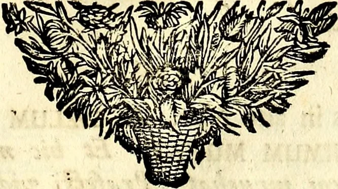 An illustration from Symbolographia, sive De arte symbolica sermones septem, 1702, leaf 296