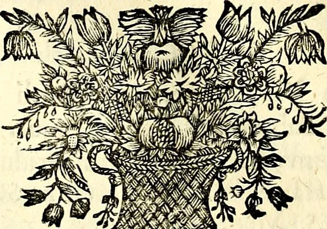 An illustration from Symbolographia, sive De arte symbolica sermones septem, 1702, leaf 321