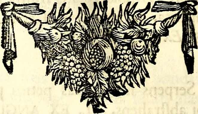 An illustration from Symbolographia, sive De arte symbolica sermones septem, 1702, leaf 533