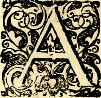 An illustration from Symbolor & emblematum ... centuria una [-quarta], 1661, leaf 117