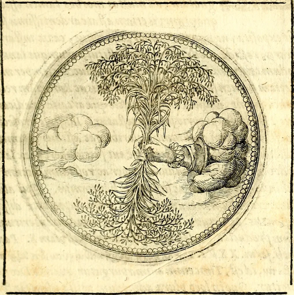 An illustration from Symbolor & emblematum ... centuria una [-quarta], 1661, leaf 120