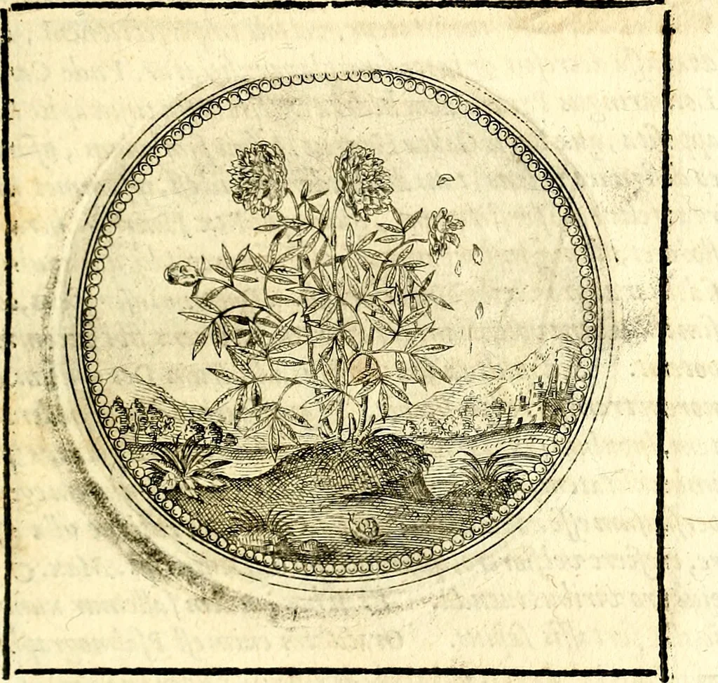 An illustration from Symbolor & emblematum ... centuria una [-quarta], 1661, leaf 126