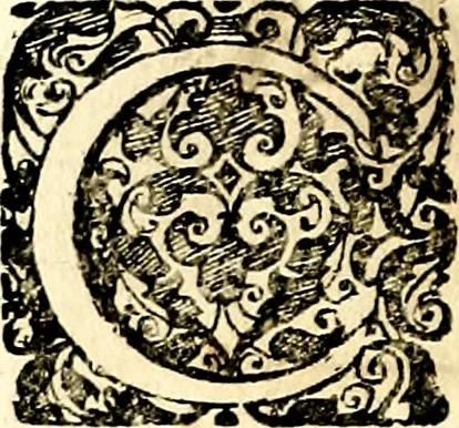 An illustration from Symbolor & emblematum ... centuria una [-quarta], 1661, leaf 133