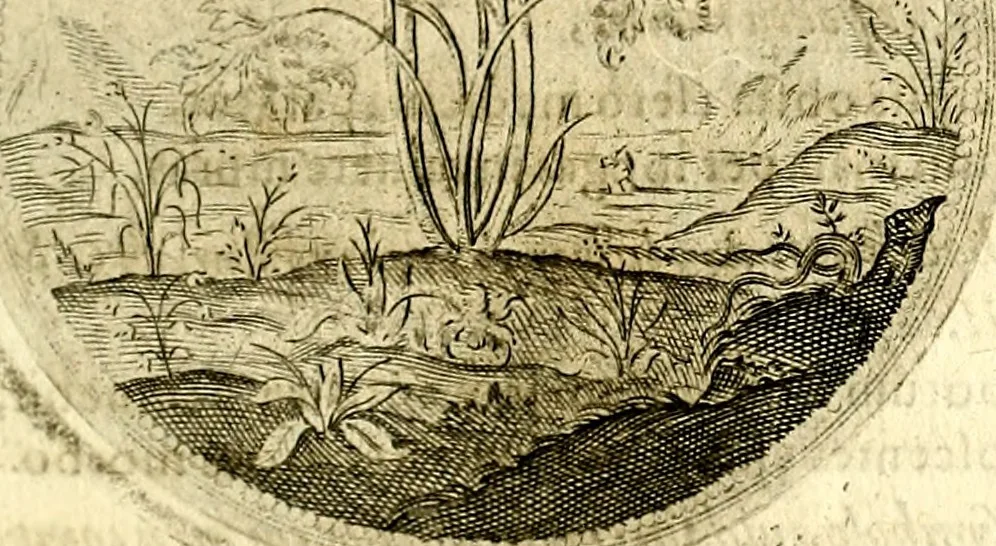An illustration from Symbolor & emblematum ... centuria una [-quarta], 1661, leaf 136