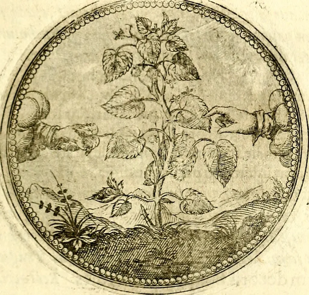An illustration from Symbolor & emblematum ... centuria una [-quarta], 1661, leaf 138