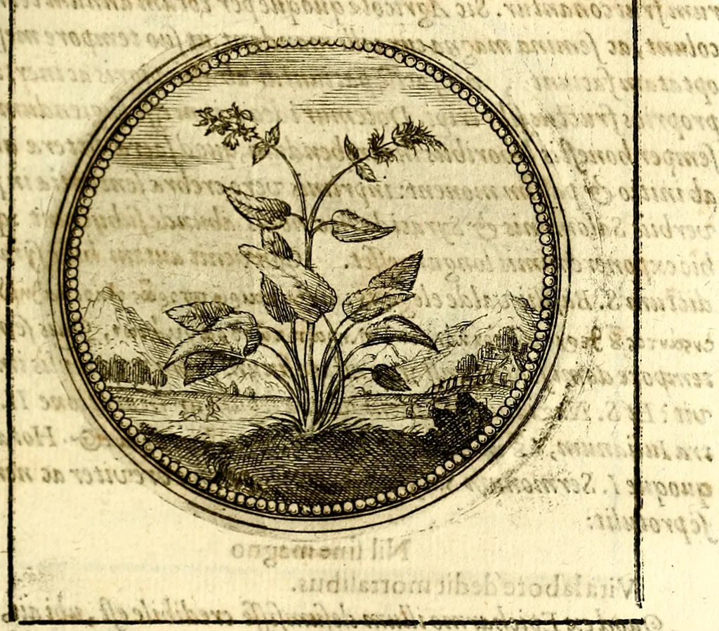 An illustration from Symbolor & emblematum ... centuria una [-quarta], 1661, leaf 156