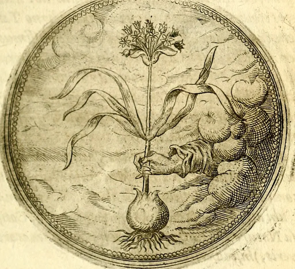 An illustration from Symbolor & emblematum ... centuria una [-quarta], 1661, leaf 162
