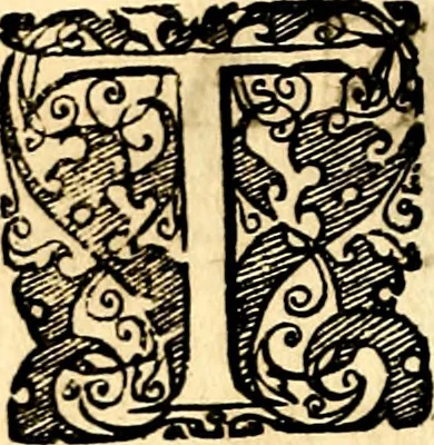 An illustration from Symbolor & emblematum ... centuria una [-quarta], 1661, leaf 163