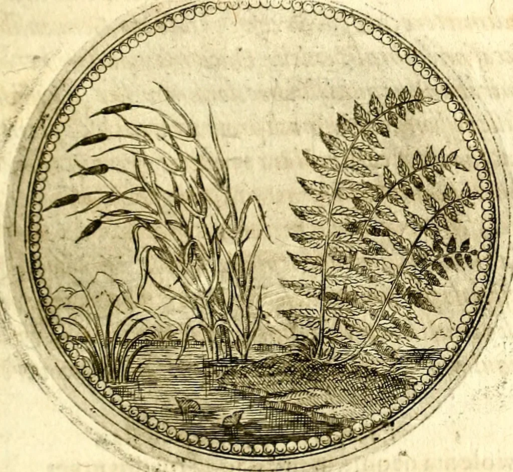 An illustration from Symbolor & emblematum ... centuria una [-quarta], 1661, leaf 166