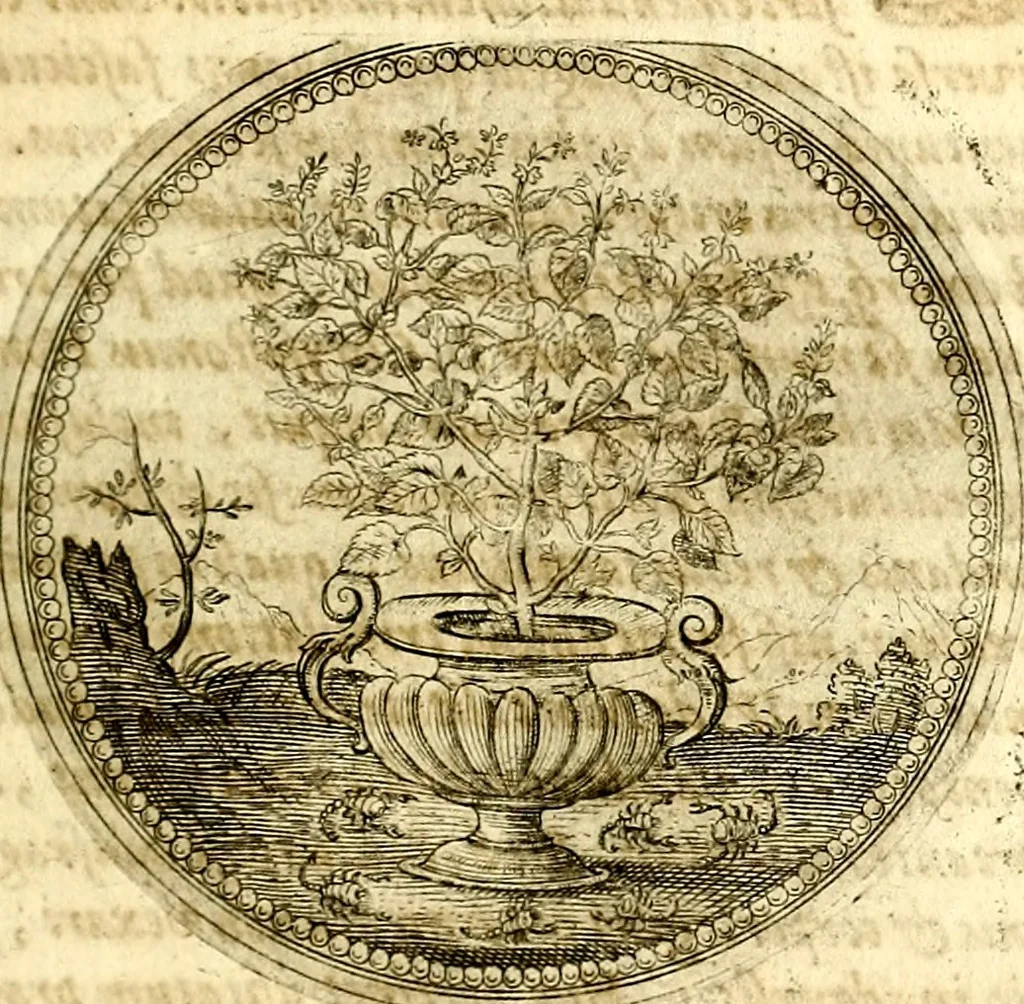 An illustration from Symbolor & emblematum ... centuria una [-quarta], 1661, leaf 168