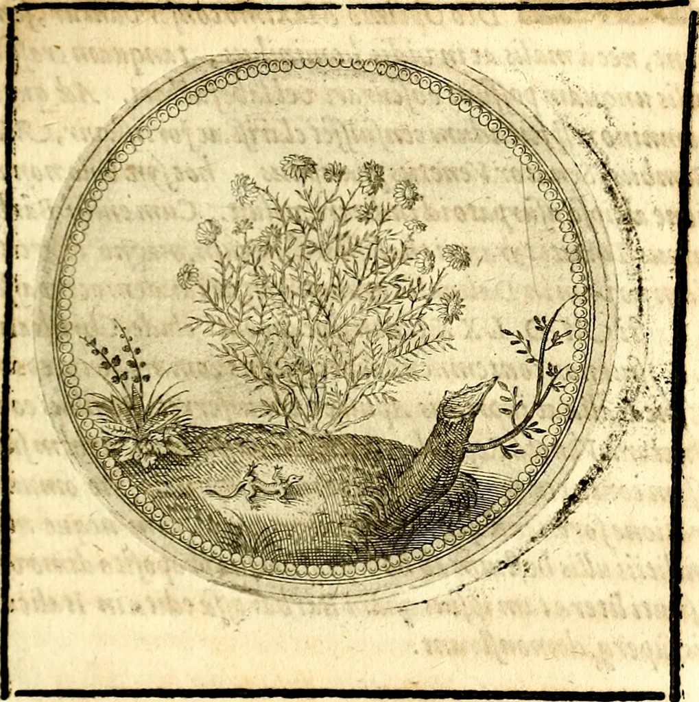 An illustration from Symbolor & emblematum ... centuria una [-quarta], 1661, leaf 174